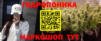 винт Тула