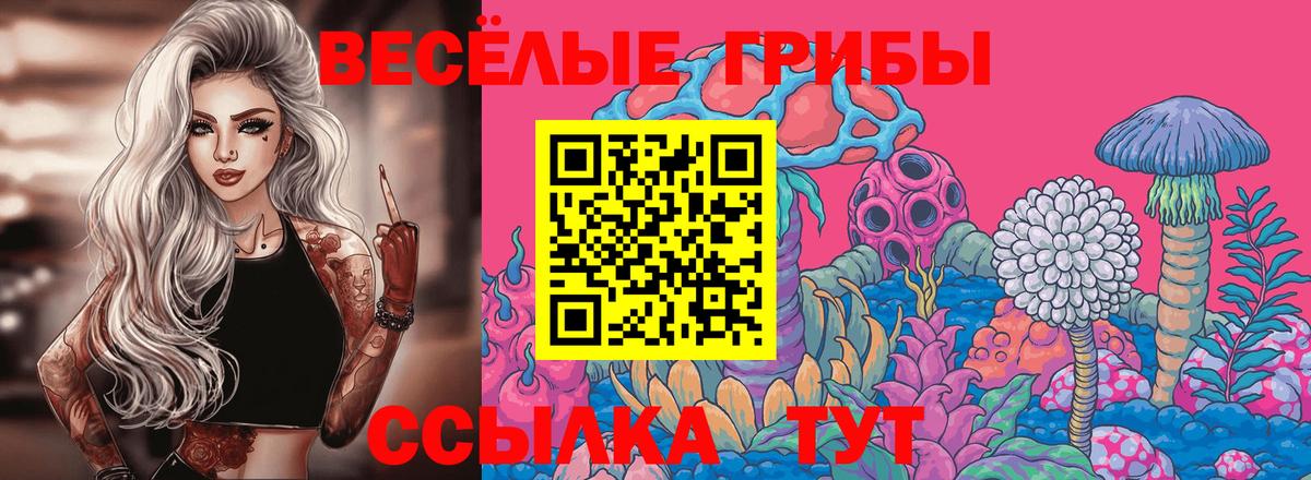 Галлюциногенные грибы MAGIC MUSHROOMS Асбест