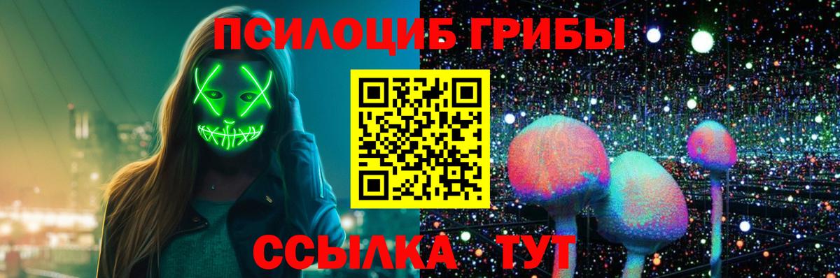 Асбест  Псилоцибиновые грибы Cubensis  Вход с VPN 